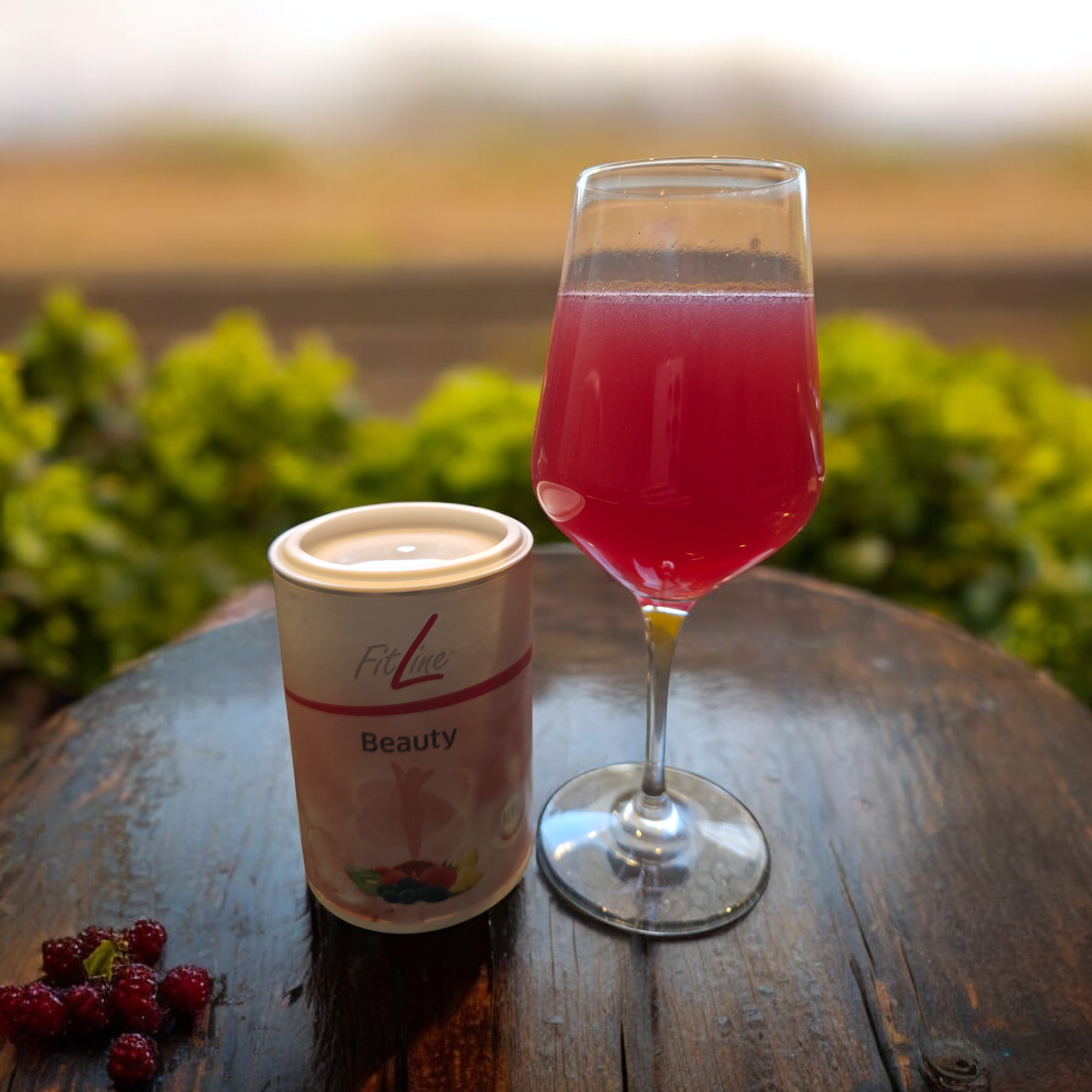 Beauty Fitline PM-International